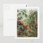 Exotic Flower Wild Forest Oerwoud  Briefkaart (Voorkant / Achterkant)