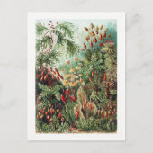 Exotic Flower Wild Forest Oerwoud  Briefkaart (Voorkant)