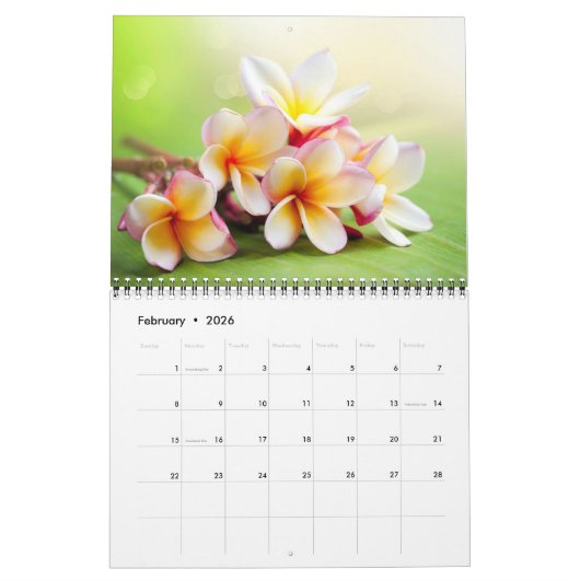 Exotic Flowers Calendar Kalender (Feb 2026)
