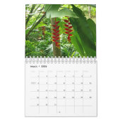 Exotic Flowers Collectie Showcase Wall Agenda Kalender (Mar 2026)
