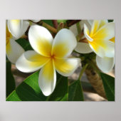 Exotic Hawaiian Flowers Poster (Voorkant)