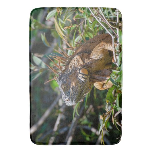 Exotic Iguana, Belize Photography Badmat (Voorkant Verticaal)