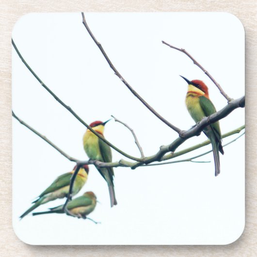 Exotic Indian kerala Bee-Eater Birds on Branch Bier Onderzetter (Voorkant)