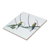 Exotic Indian kerala Bee-Eater Birds on Branch Tegeltje (Zijkant)