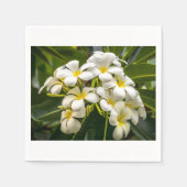 Exotic Island Plumeria Cocktail Napkin Servetten (Voorkant)