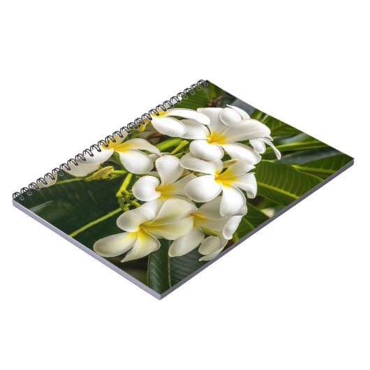 Exotic Island Plumeria Notebook Notitieboek (Linkerzijde)
