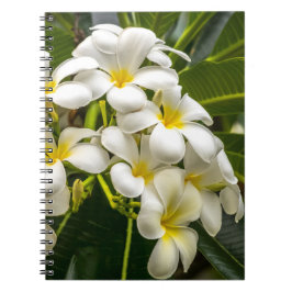 Exotic Island Plumeria Notebook Notitieboek