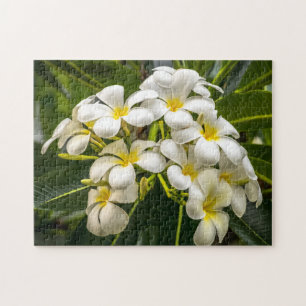 Exotic Island Plumeria Puzzle Legpuzzel