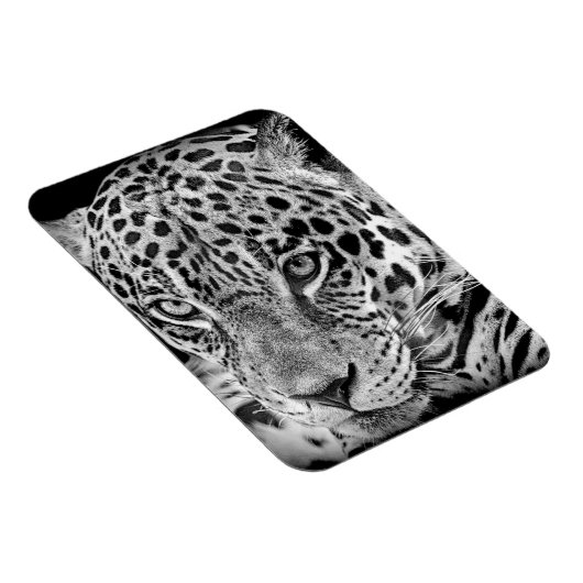 Exotic Jaguar Magneet (Rechterzijde)