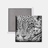 Exotic Jaguar Magneet (Voorkant / Achterkant)