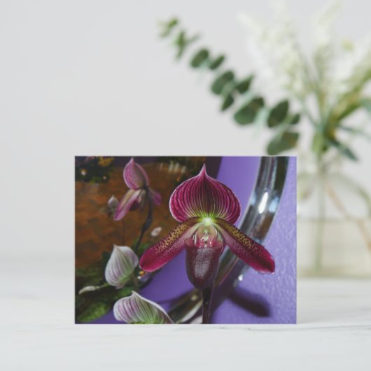 Exotic Lady Slipper-Briefkaart Briefkaart (Staand voorkant)