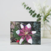 Exotic Lily Briefkaart (Staand voorkant)