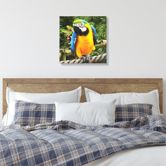 Exotic Macaw Parrot Canvas Afdruk (Insitu (Slaapkamer))