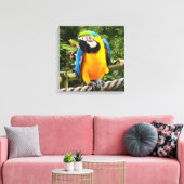 Exotic Macaw Parrot Canvas Afdruk (Insitu (Woonkamer))