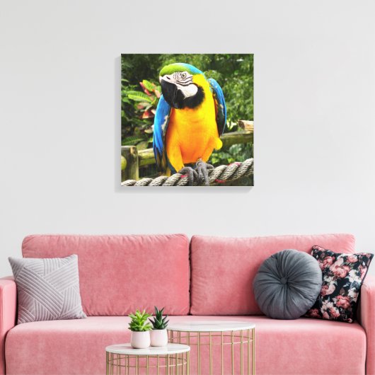 Exotic Macaw Parrot Canvas Afdruk (Insitu (Woonkamer))