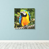 Exotic Macaw Parrot Canvas Afdruk (Insitu (Houten vloer))
