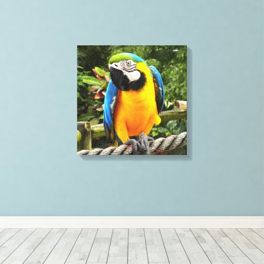 Exotic Macaw Parrot Canvas Afdruk (Insitu (Houten vloer))
