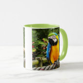 Exotic Macaw Parrot Mok (Voorkant rechts)