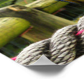 Exotic Macaw Parrot Poster (Hoek)