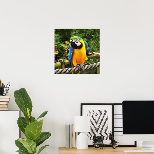 Exotic Macaw Parrot Poster (Thuiskantoor)