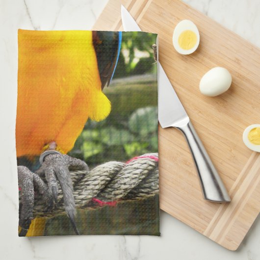 Exotic Macaw Parrot Theedoek (Quarter Fold)