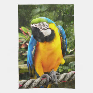 Exotic Macaw Parrot Theedoek