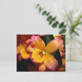 Exotic Orchid Briefkaart (Staand voorkant)