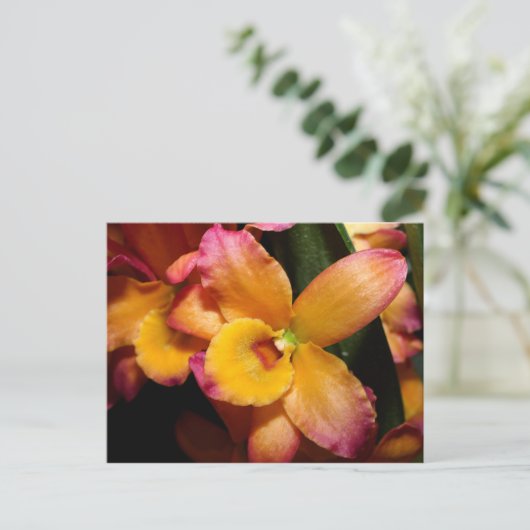 Exotic Orchid Briefkaart (Staand voorkant)
