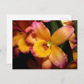 Exotic Orchid Briefkaart (Voorkant / Achterkant)