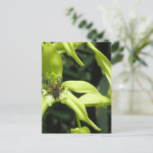 Exotic Orchid Briefkaart (Staand voorkant)
