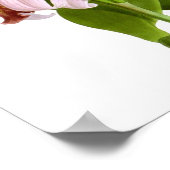 Exotic Orchid Plant Pink Flowers no.5 Art Print (Hoek)