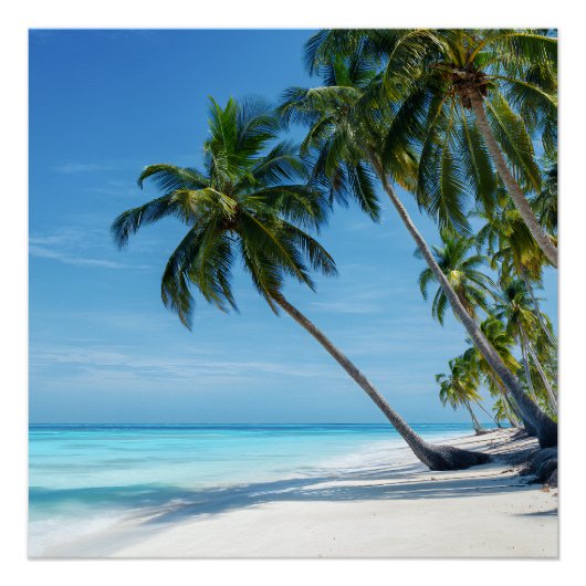 Exotic Palm Beach Turquoise Water Sunny Paradise Perfect Poster (Voorkant)