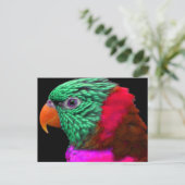 Exotic Parrot Green Red Roze Briefkaart (Staand voorkant)