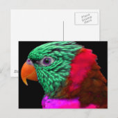 Exotic Parrot Green Red Roze Briefkaart (Voorkant / Achterkant)