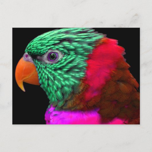 Exotic Parrot Green Red Roze Briefkaart (Voorkant)