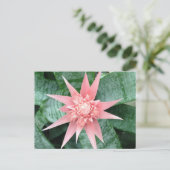 Exotic Pink Bromeliad Flower Briefkaart (Staand voorkant)