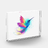 Exotic Rainbow Hummingbird Fotoblokken (Links)