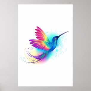 Exotic Rainbow Hummingbird Poster