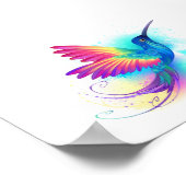 Exotic Rainbow Hummingbird Poster (Hoek)