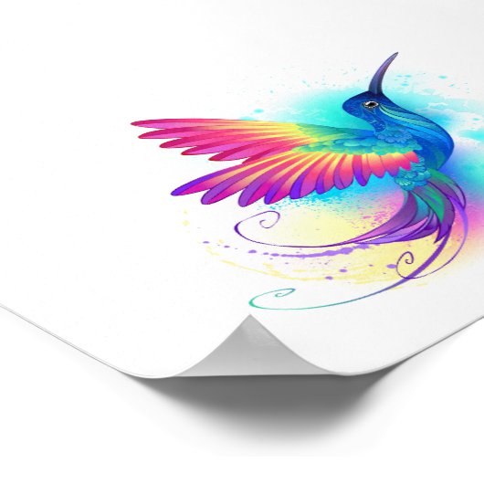 Exotic Rainbow Hummingbird Poster (Hoek)