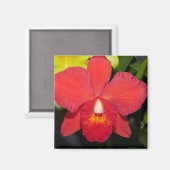 Exotic Red Orchid Magneet (Voorkant / Achterkant)