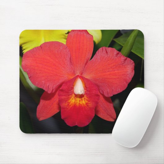 Exotic Red Orchid Muismat (Met muis)