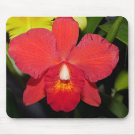 Exotic Red Orchid Muismat