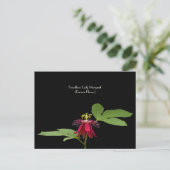 Exotic Red Passion-Flower Collectible Briefkaart (Staand voorkant)