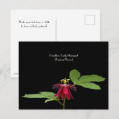 Exotic Red Passion-Flower Collectible Briefkaart (Voorkant / Achterkant)