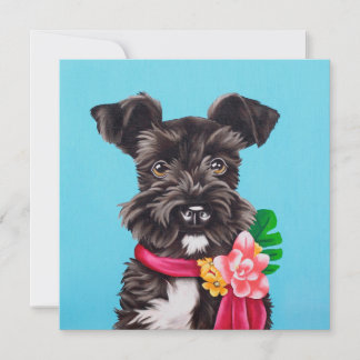 Exotic Schnauzer Kaart