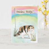 Exotic Short Hair Cat Pet Sympathie voor regenboog Kaart (Gele Bloem)