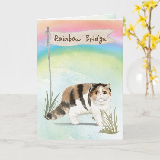 Exotic Short Hair Cat Pet Sympathie voor regenboog Kaart (Gele Bloem)