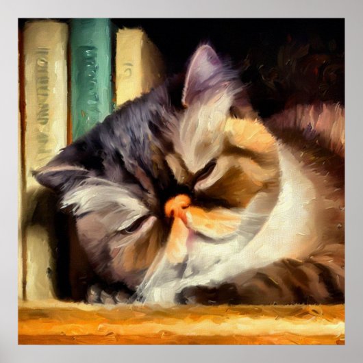 Exotic Shorthair Cat Poster (Voorkant)