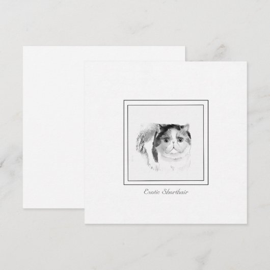 Exotic Shorthair Cat Sketch in Chalk & Charcoal Notitiekaartje (Voorkant / Achterkant)
